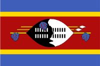 Best Swaziland Brokers