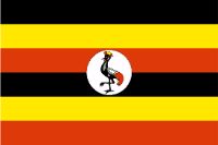 Best Uganda Brokers