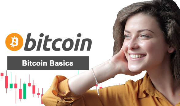 Bitcoin Basics 2022