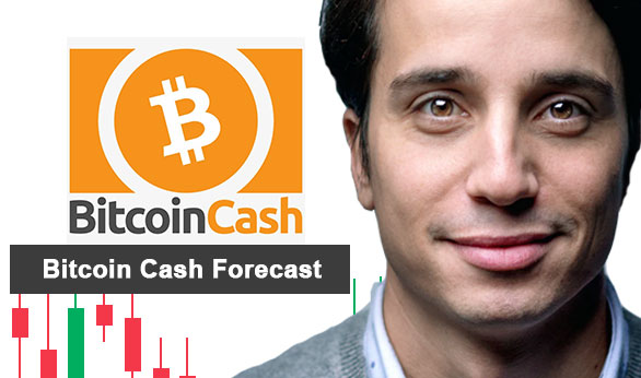 Bitcoin Cash Forecast 2022
