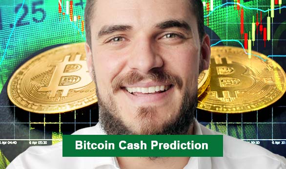 Bitcoin Cash Prediction 2024