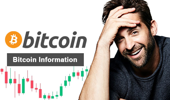 Bitcoin Information 2024