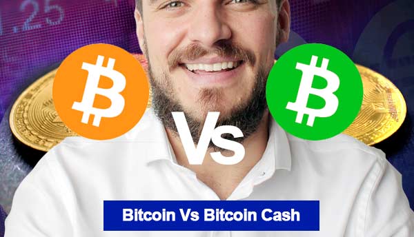 Bitcoin vs Bitcoin Cash 2022