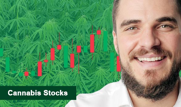 Cannabis Stocks 2022