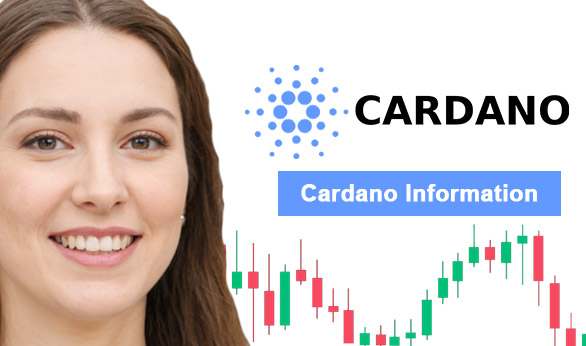 Cardano Information 2024