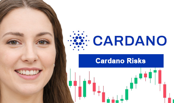 Cardano Risks 2024