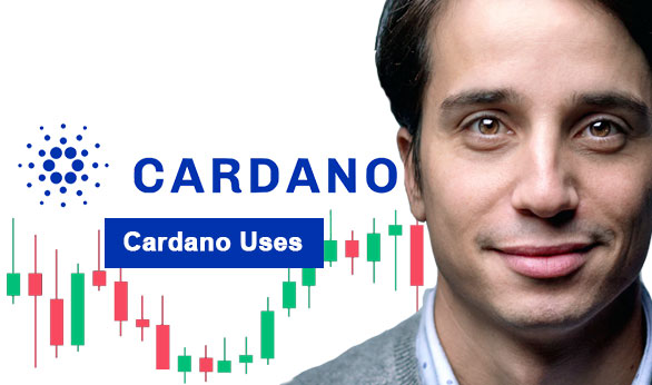 Cardano Uses 2024