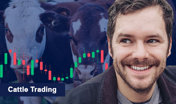 Cattle Trading 2024