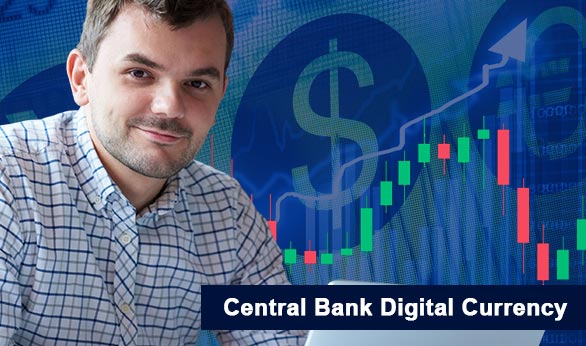 Central Bank Digital Currency 2022