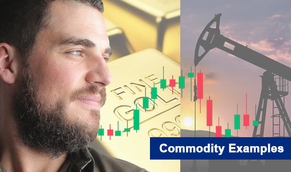Commodity Examples 2024