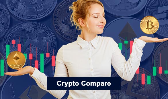 Crypto Compare 2023