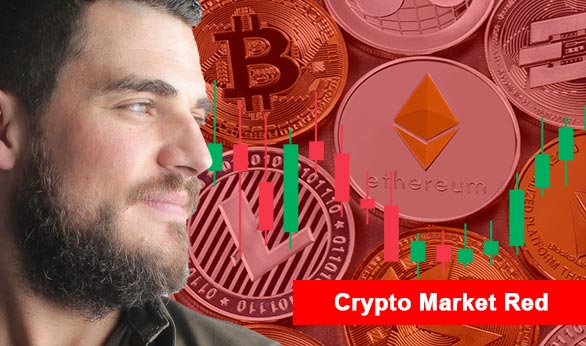 Crypto Market Red 2024