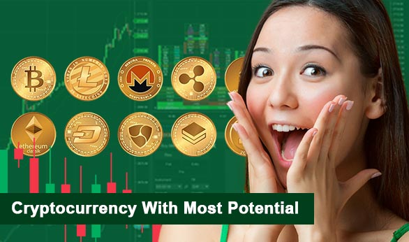 Cryptocurrency With Most Potential 2024