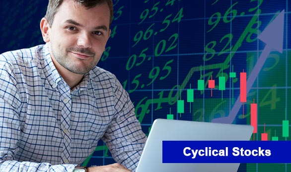 Cyclical Stock 2024
