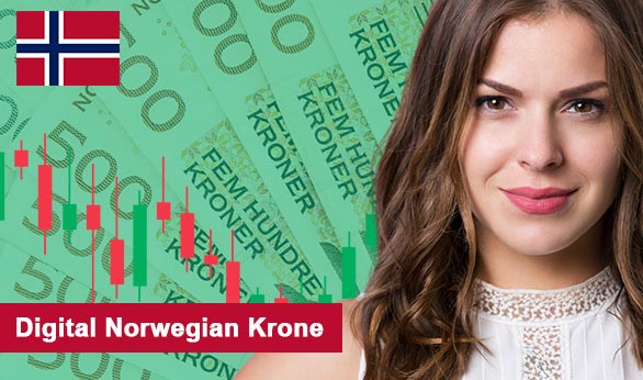 Digital Norwegian Krone 2024