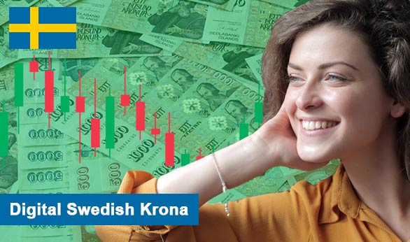 Digital Swedish Krona 2024