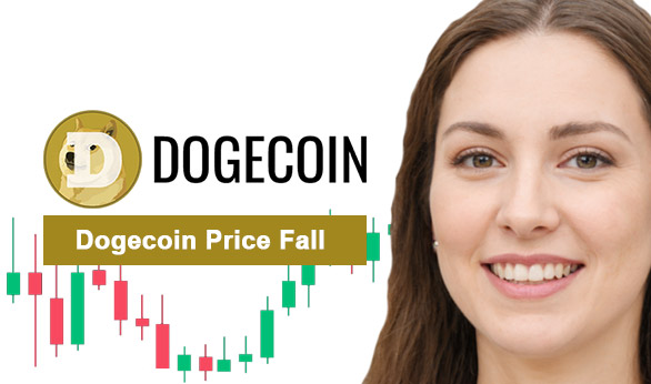 Dogecoin Price Fall 2024