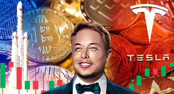 elon musk cryptocurrency dogecoin price