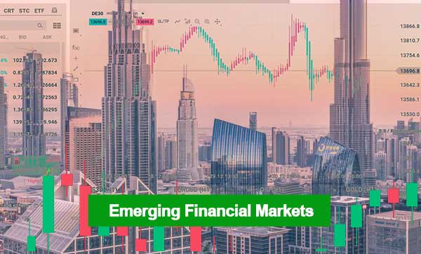 Emerging Financial Markets 2022