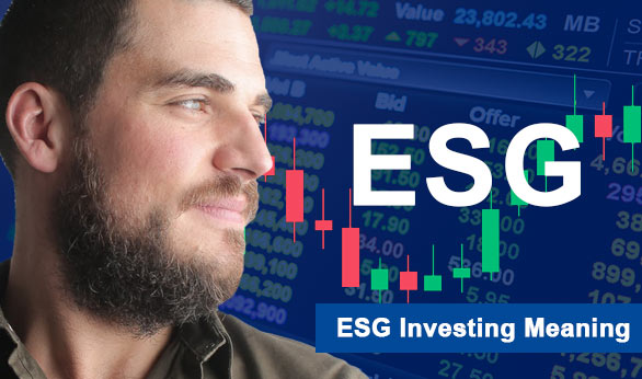 ESG Investing Meaning 2022