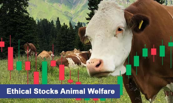 Ethical Stocks Animal Welfare 2024