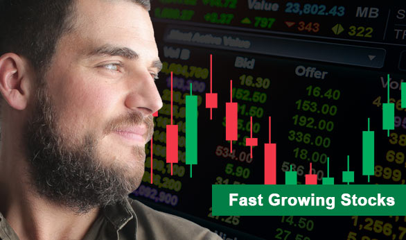Fast Growing Stocks 2022