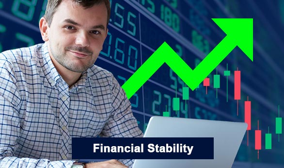 Financial Stability 2024