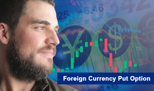 Foreign Currency Put Option 2022