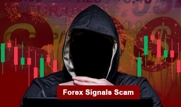 Forex Signals Scam 2023