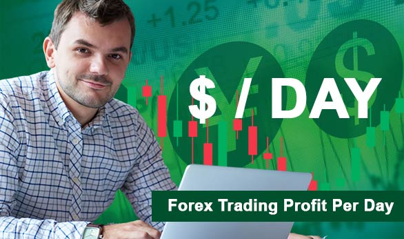 Forex Trading Profit Per Day 2022