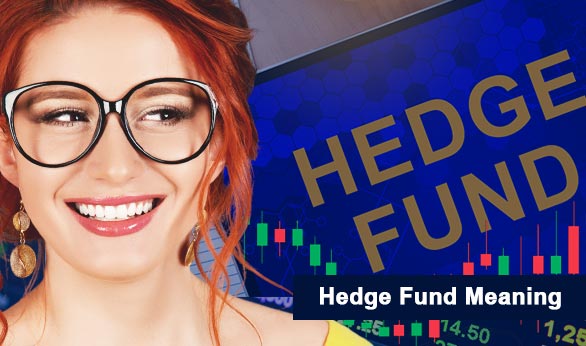 Hedge Fund Meaning 2022