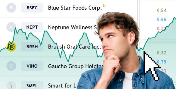 Investing in Small Cap Stocks 2025