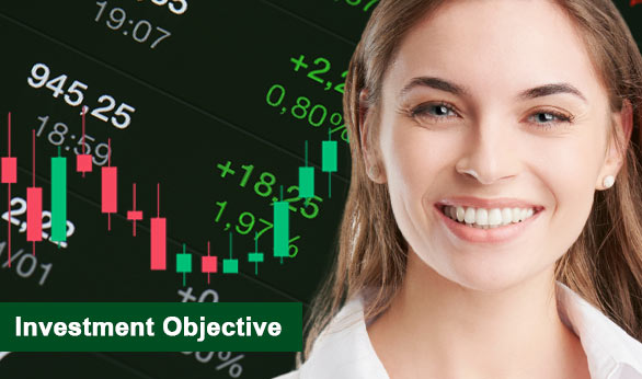 Investment Objective 2024