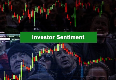 Investor Sentiment 2022