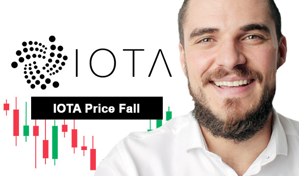 IOTA Price Fall 2024