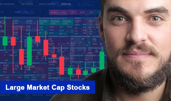 Large Market Cap Stocks 2024