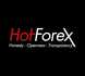 Click to learn more about HotForex