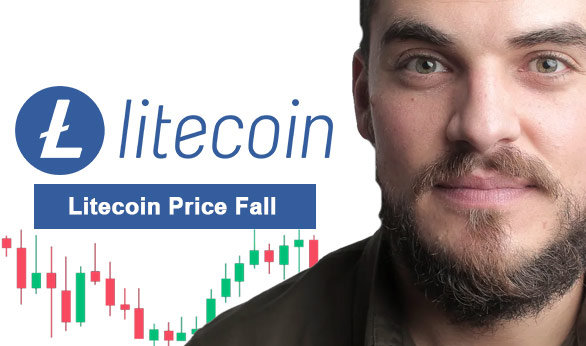 Litecoin Price Fall 2024