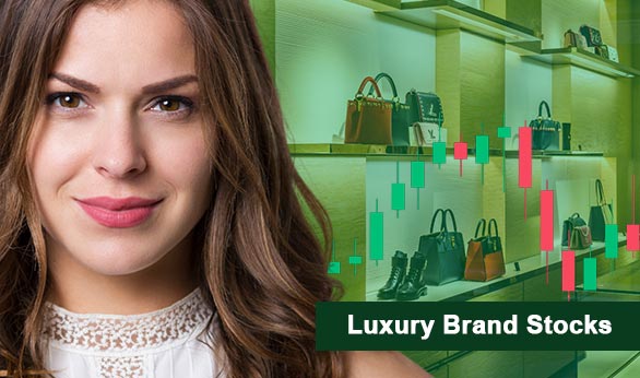 Luxury Brand Stocks 2024