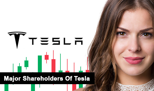Major Shareholders Of Tesla 2022