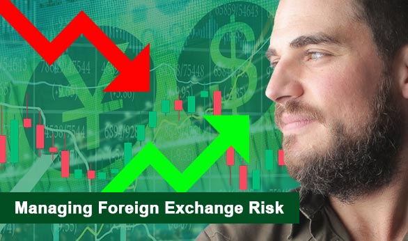 Managing Foreign Exchange Risk 2024