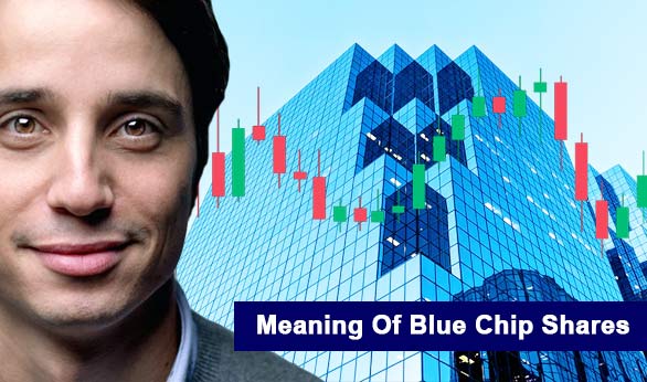 Meaning Of Blue Chip Shares 2022