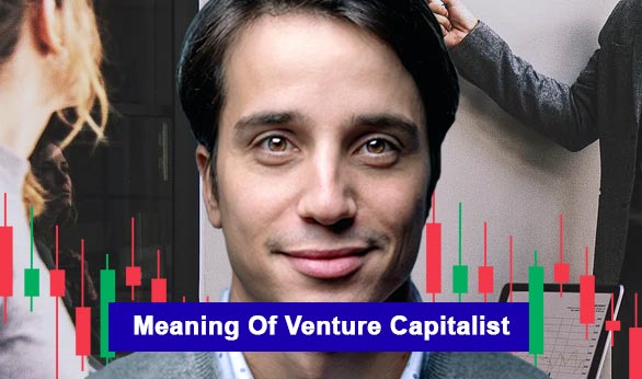 Meaning of Venture Capitalist 2022