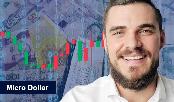 Micro Dollar 2025