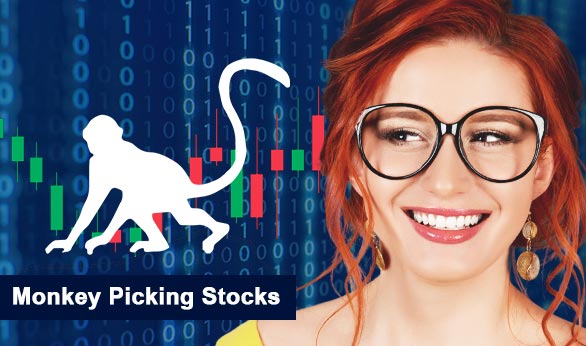 Monkey Picking Stocks 2022