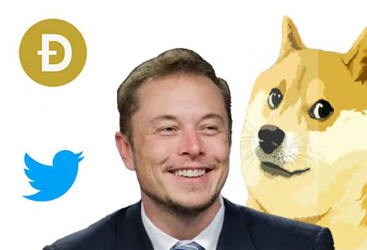 Dogecoin Up As Elon Musk Buys Twitter
