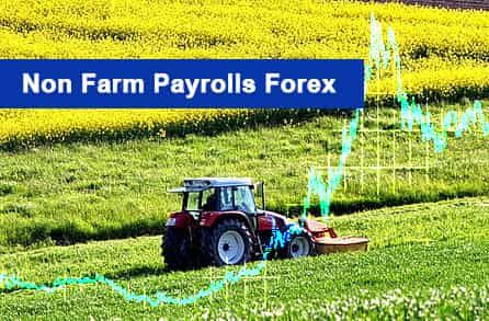 NFP Forex 2022