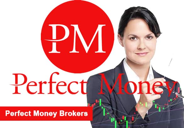 Best 
Perfect Money Brokers for 2024