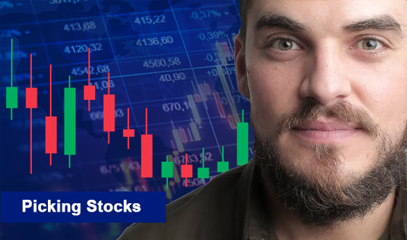 Picking Stocks 2024