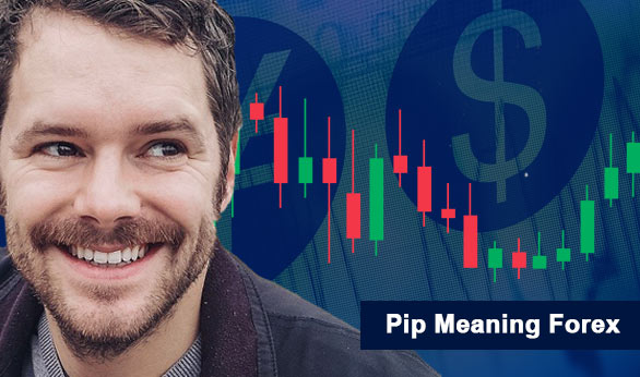 Pip Meaning Forex 2022